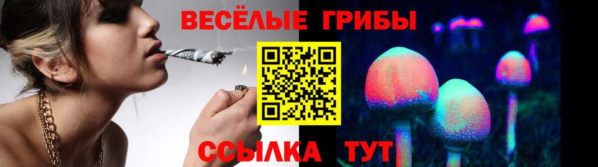 Алейск  Галлюциногенные грибы Psilocybe  Вход с VPN 